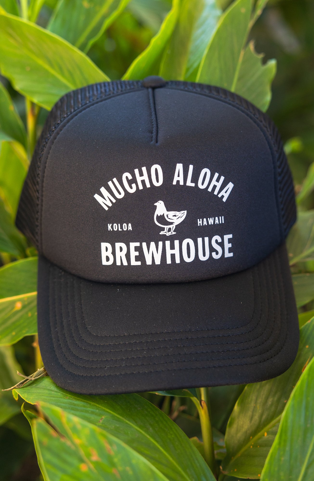 Brewhouse Uniform Trucker Hat Black