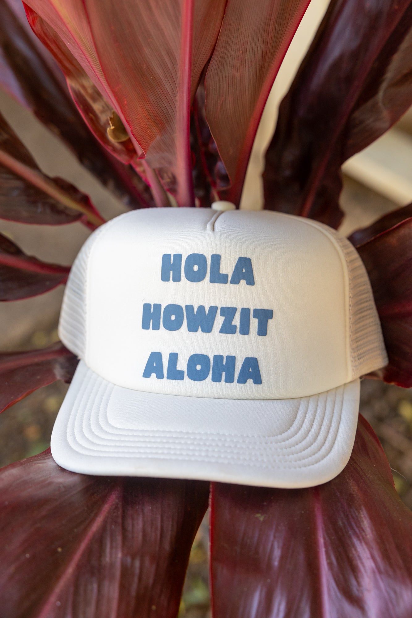 Hola Howzit Aloha Trucker Hat – Multi